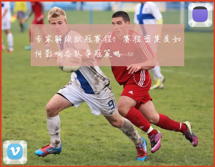 专家解读欧冠赛程：赛程密集度如何影响各队争冠策略