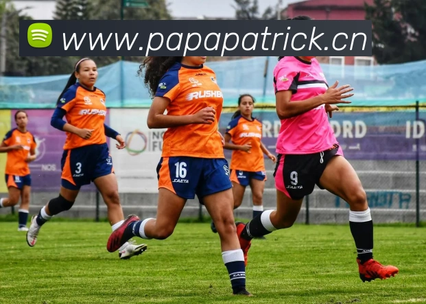 华体在线登录入口服务体系